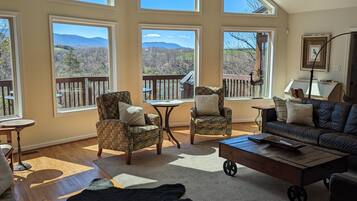 スマートテレビ、暖炉、卓球台、書庫