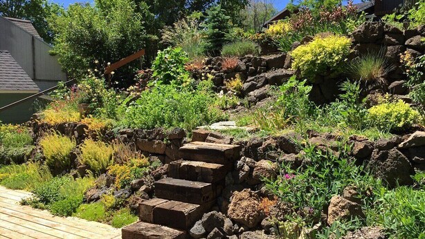 A wooden deck leading up a stone staircase surrounded by lush greenery and various plants.