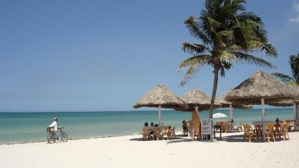 A beach with thatched umbrellas, palm trees, and beach chairs. - Tranquil Tropical Oasis in the Historic Center/ Full Size Pool (Merida)