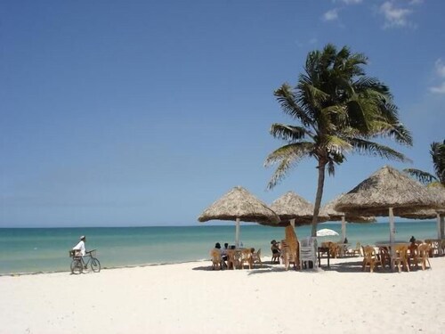 Tranquil Tropical Oasis in the Historic Center