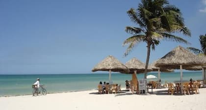 Tranquil Tropical Oasis in the Historic Center