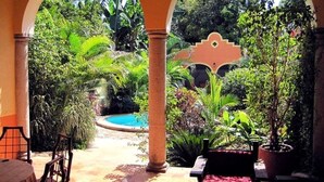 An outdoor patio area with a pool, surrounded by lush greenery and a decorative archway. - Tranquil Tropical Oasis in the Historic Center/ Full Size Pool (Merida)