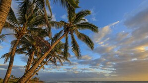 Una playa con palmeras y vista al océano.