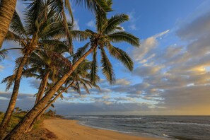 Sun loungers, beach towels