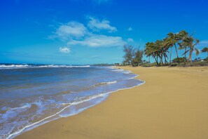 Chaises longues, serviettes de plage