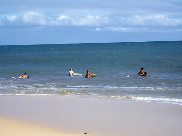 Tumbonas y toallas de playa