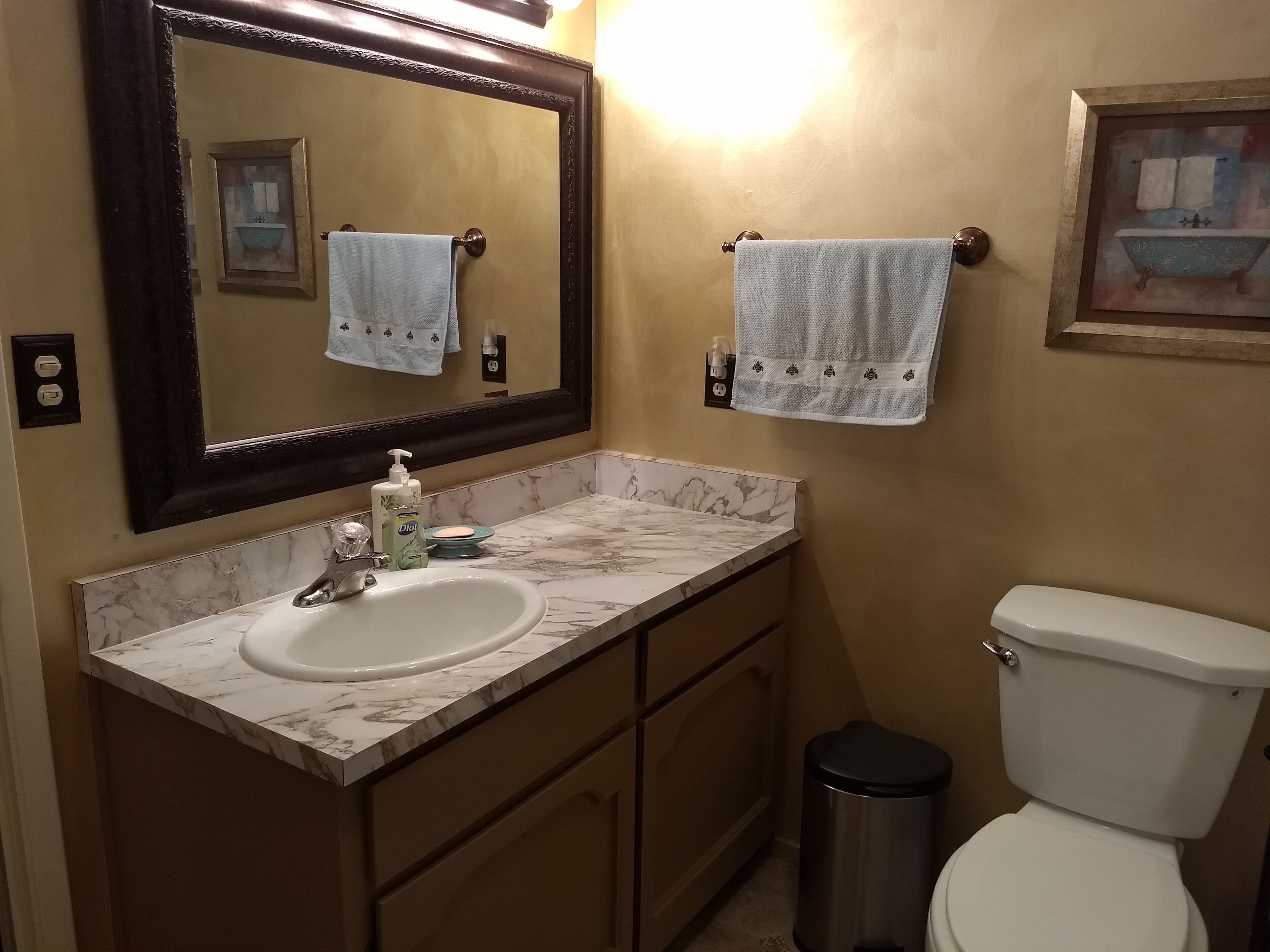 Beautiful Lake Front house with Spectacular view,  new deck/private dock sleep 6