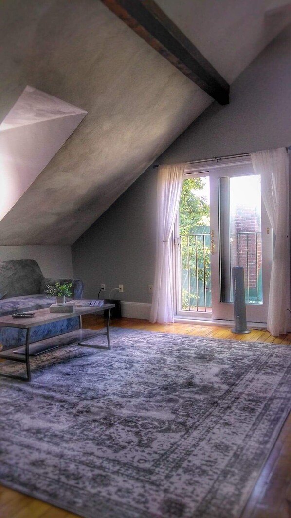 Smart TV, fireplace, DVD player, books