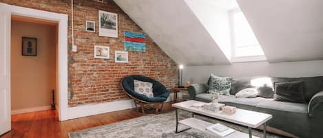TV connectée, cheminée, lecteur de DVD, livres