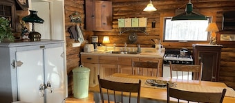 Charming Log Cabin on Private Pond Nestled in Woods Near Holiday Valley Resort
