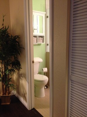 Combined shower/bathtub, hair dryer, towels, soap