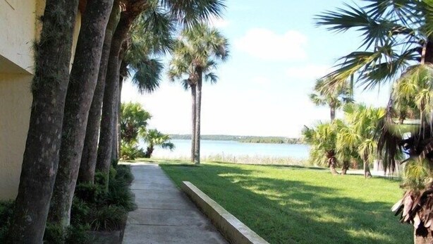 A pathway leading to a grassy area with palm trees and a body of water in the background.
