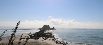 Cozy mangawhai house