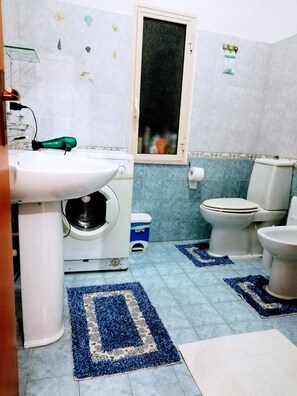 Secador de cabelo, toalhas de banho, papel higiênico 