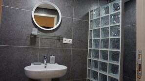 Combined shower/bathtub, free toiletries, hair dryer, towels