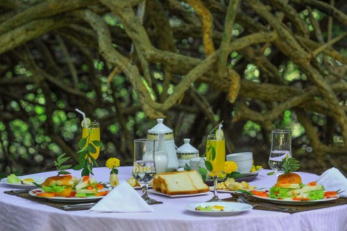 The Campers Lodge Luxury  Camp Yala