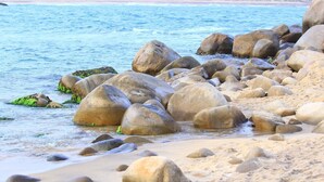 Pantai