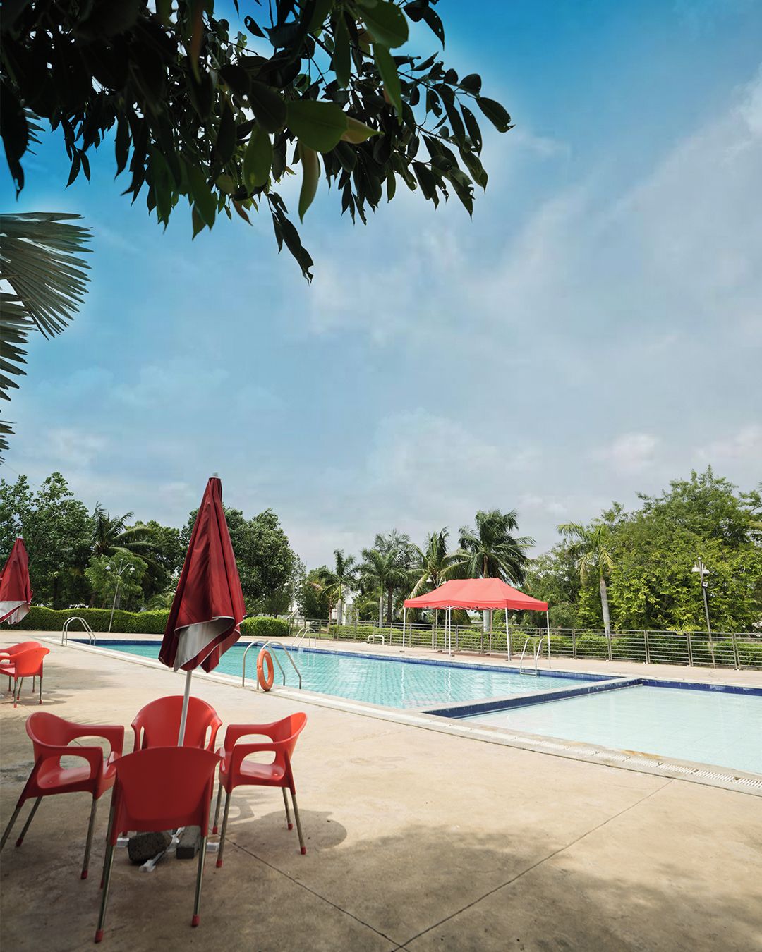 A swimming pool with red chairs and umbrellas, surrounded by palm trees and a clear sky.