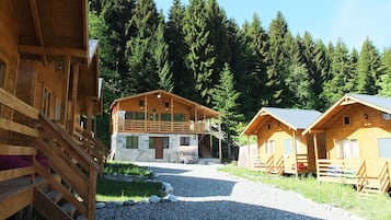 Eine Holzhütte mit Steinunterbau, umgeben von einem Schotterweg und dichtem Wald.