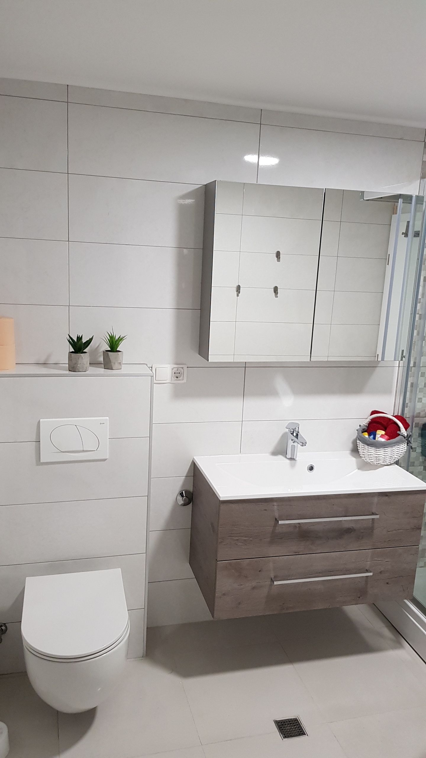 A modern bathroom with a white toilet, a wooden vanity with a mirror, and two small potted plants on the wall.