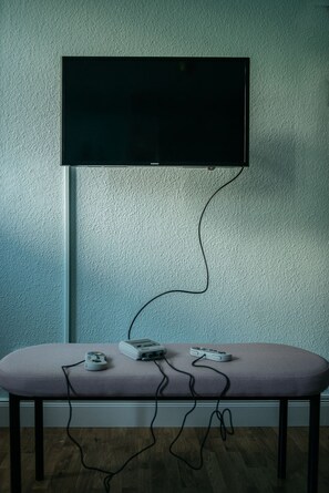 Fernseher
