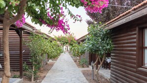 Un sendero conduce a una hilera de cabañas de madera con un camino de piedra y plantas florecientes.