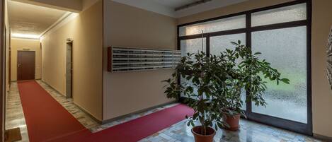 A hotel hallway with a red carpet, a potted plant, and a large window with frosted glass.