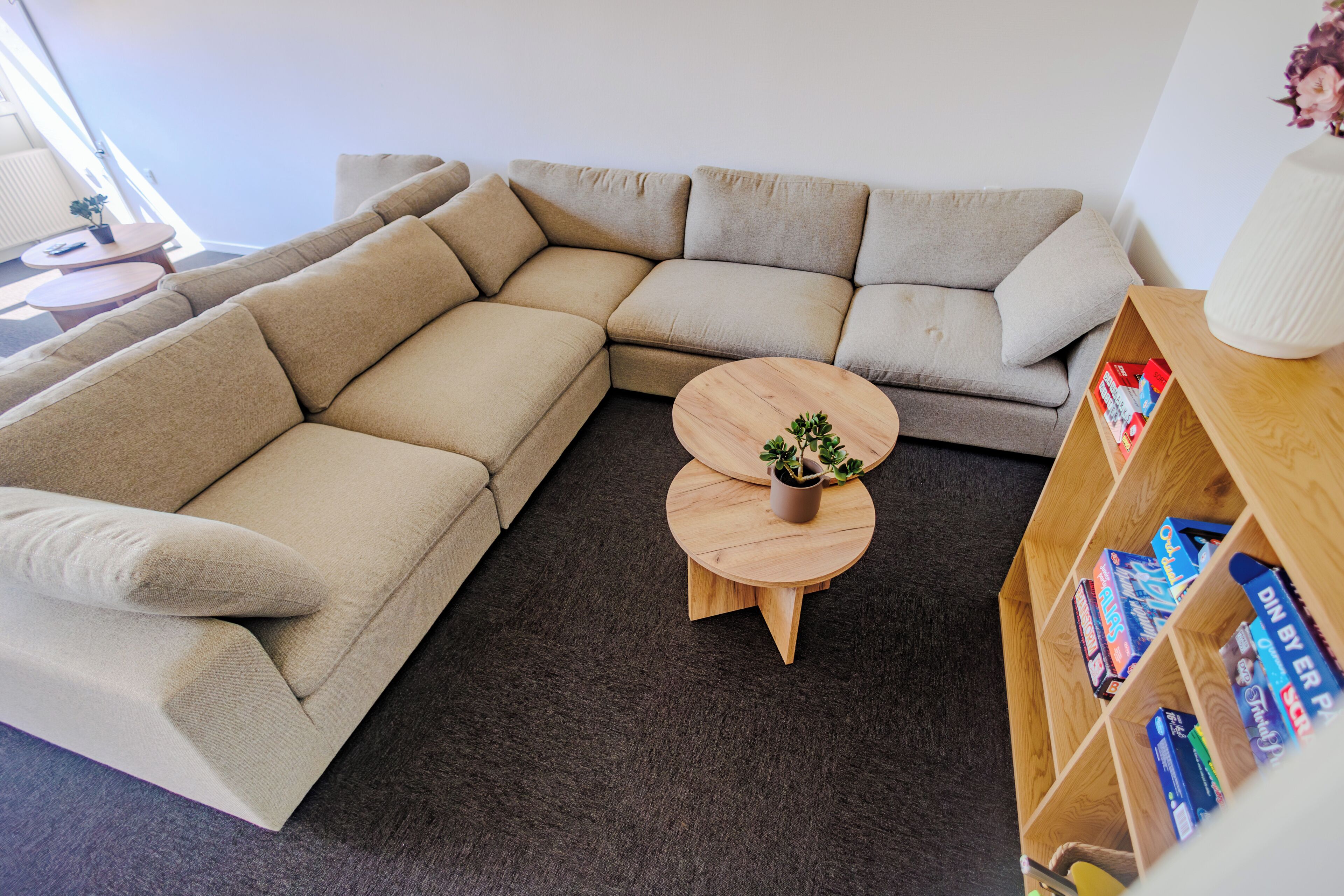 Een modulaire bank, een ronde houten salontafel met een plant en een boekenplank vol boeken.