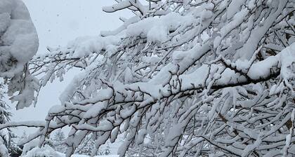 Landgasthof Zum Alten Reichenbach