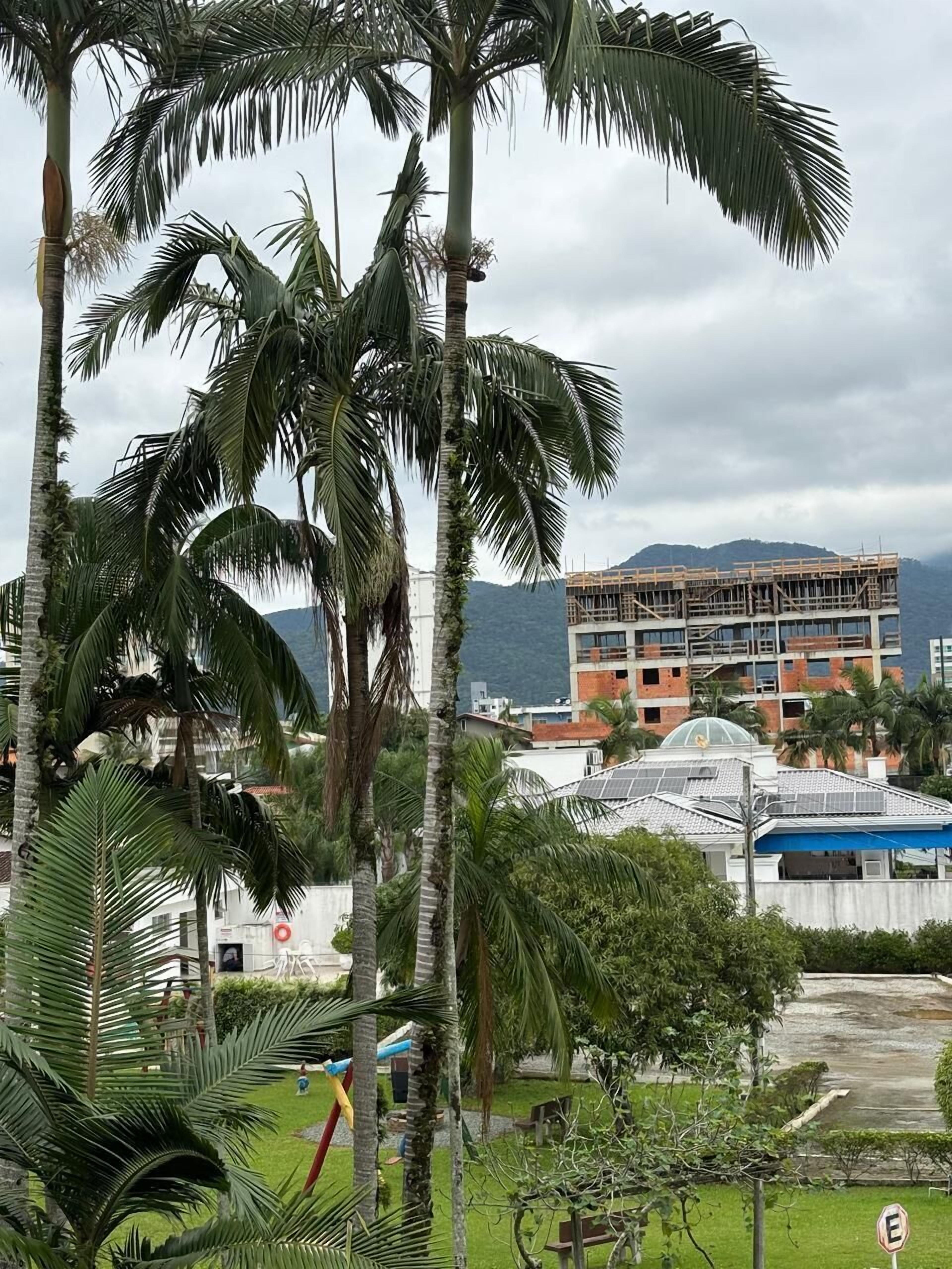 economy twin room, 2 single beds, accessible | terrace/patio