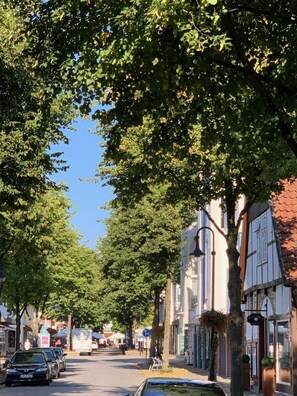 Une rue bordée d’arbres, avec des voitures garées de part et d’autre et des immeubles qui la bordent.