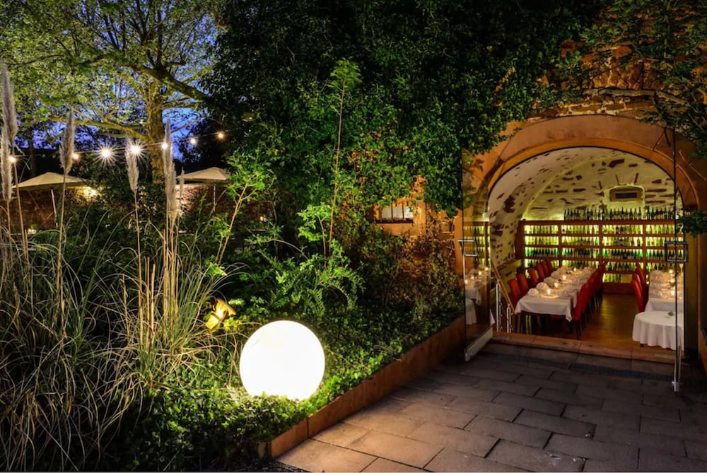 Jauch's Löwen by null