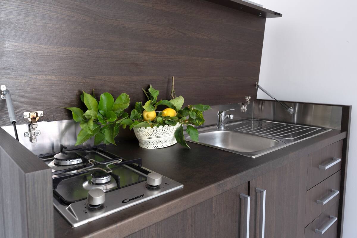classic double room, kitchenette, patio | private kitchen | fridge, microwave