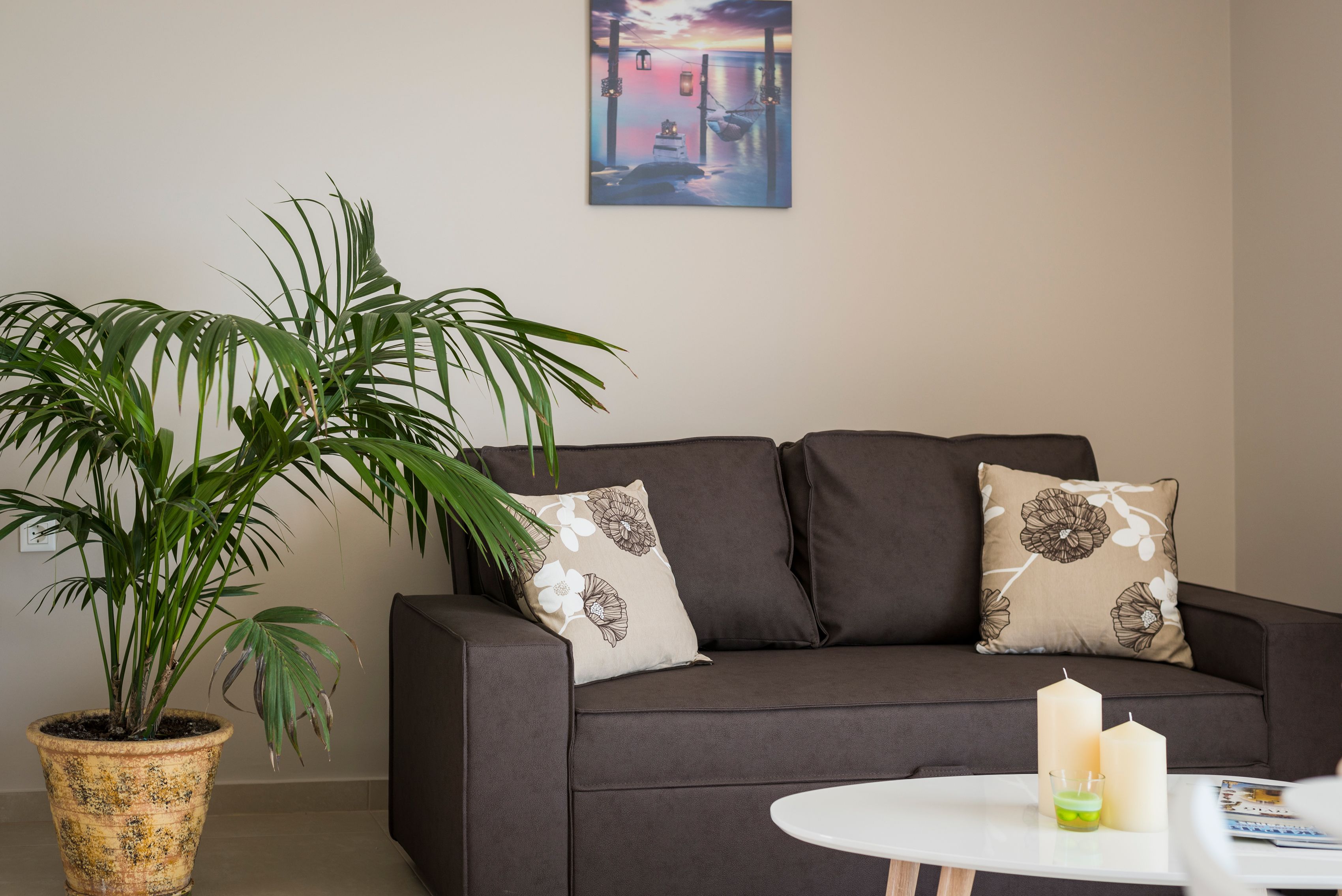 A living room with a dark sofa, floral cushions, a potted plant, and a painting on the wall.