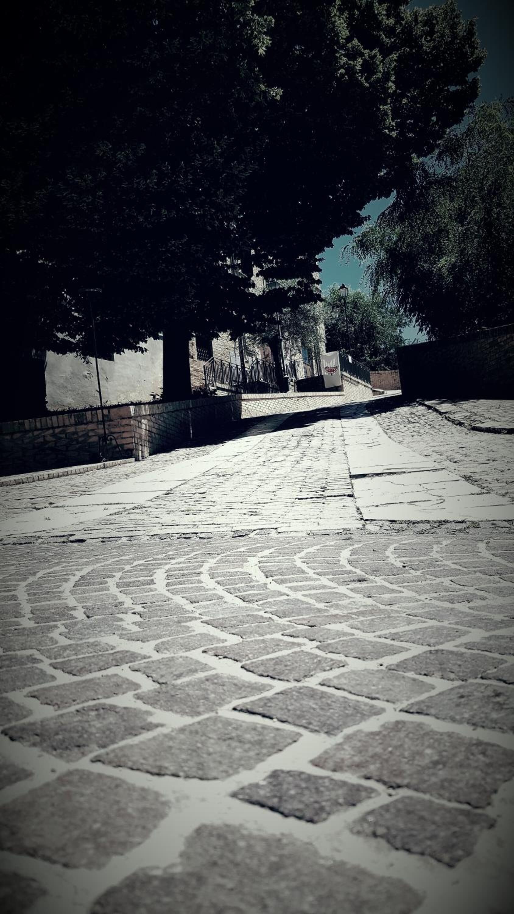 A cobblestone pathway leading to a large tree, with a brick wall and a metal fence in the background.