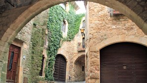 An arched stone corridor with ivy-covered walls, a wooden door, and a large metal gate. - Casas Golf Relax (Pals)