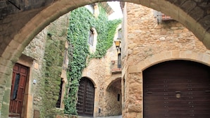 An arched stone corridor with ivy-covered walls, a wooden door, and a large metal gate. - Apartaments Les Dunes (Pals)