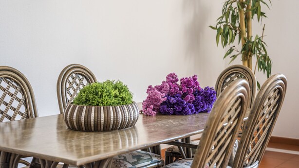 A dining table with chairs, a potted plant, and a decorative vase with flowers.