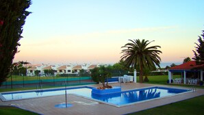 A rectangular swimming pool with a tiled deck, surrounded by grass and palm trees.
