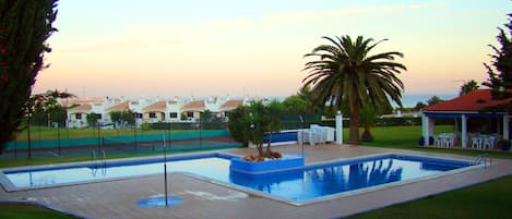 Piscina retangular com deck ladrilhado, cercada por grama e palmeiras.