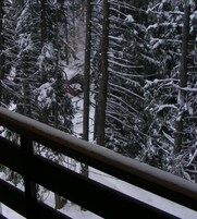 Apartamento estándar, vistas al parque | Vistas desde la habitación