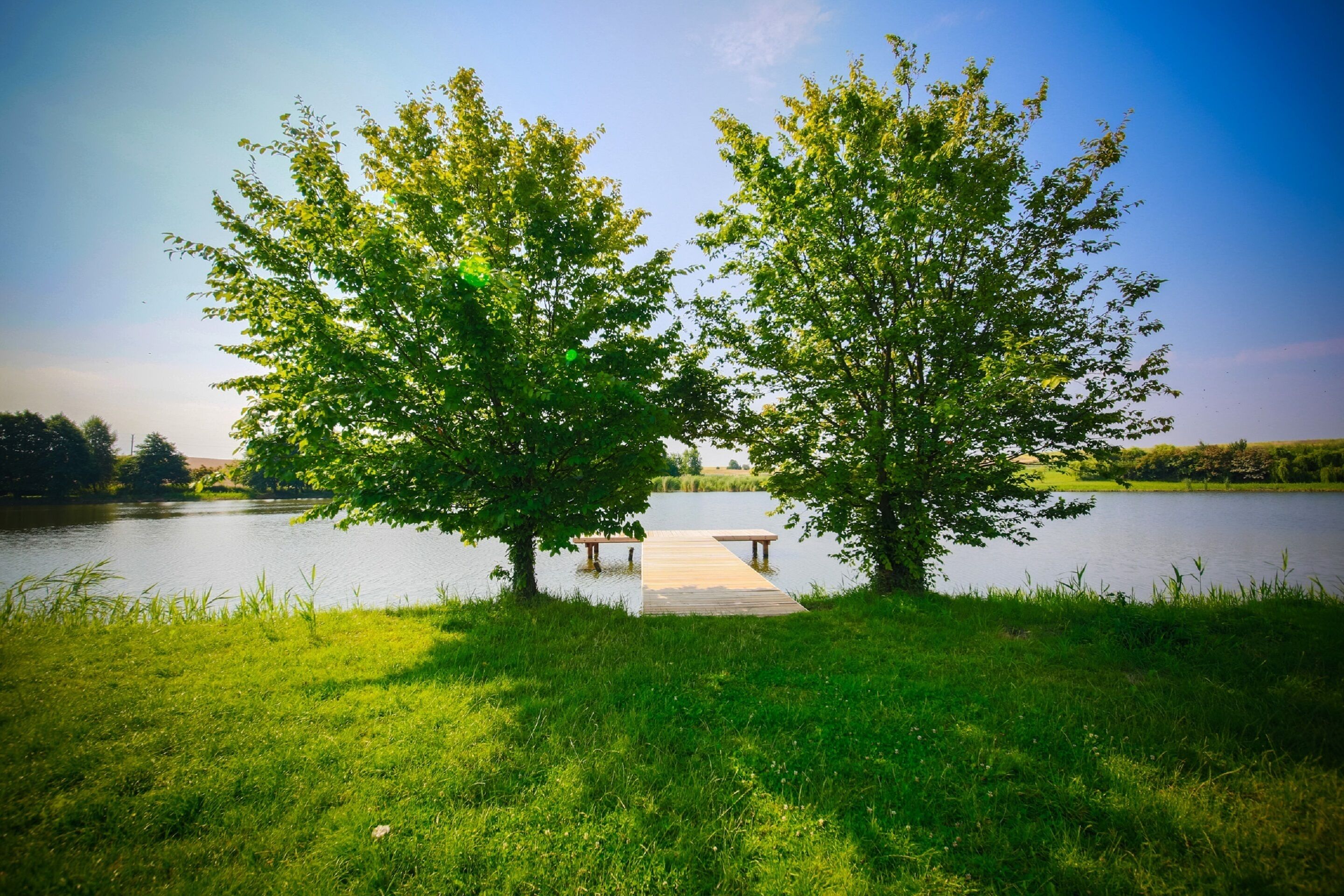 A wooden dock extending into a calm lake, surrounded by lush green grass and trees.