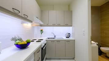 Fridge, oven, stovetop, coffee/tea maker