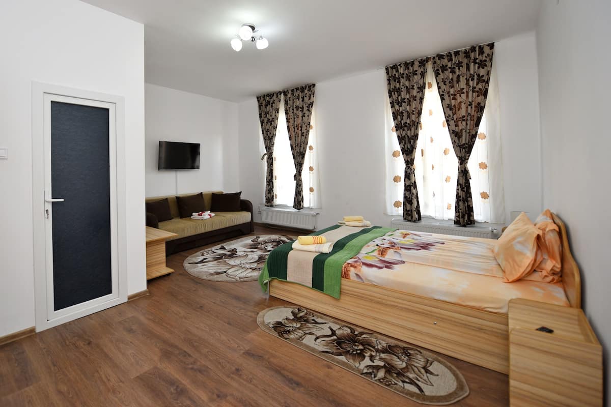 A bedroom with a bed, a sofa, a TV, and a door.