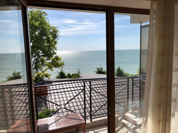 Balcony - Pensiunea Trident (Hateg)