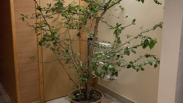 内部细节