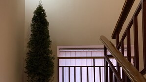 A staircase with a wooden handrail and a potted evergreen tree beside it. - Inn on Zhytomyrska (Kyiv)