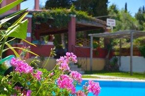 Garden - Alex Katerina Apartments (Corfu)