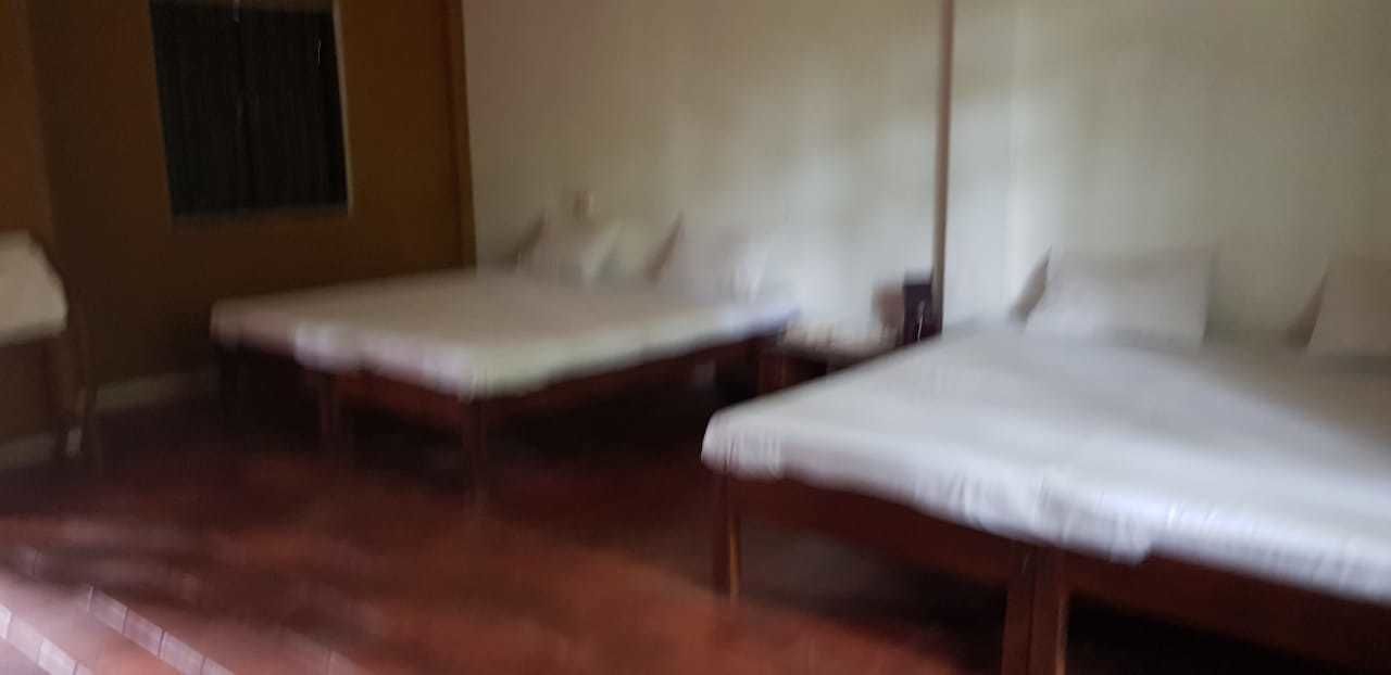 Une chambre avec trois lits simples disposés en rangée.
