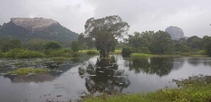 View from property - Border (Habarana)